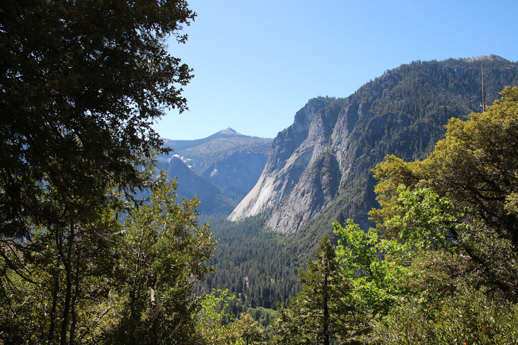 View of mountains through the trees