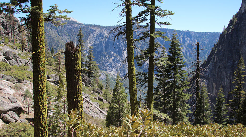 View of Mountains