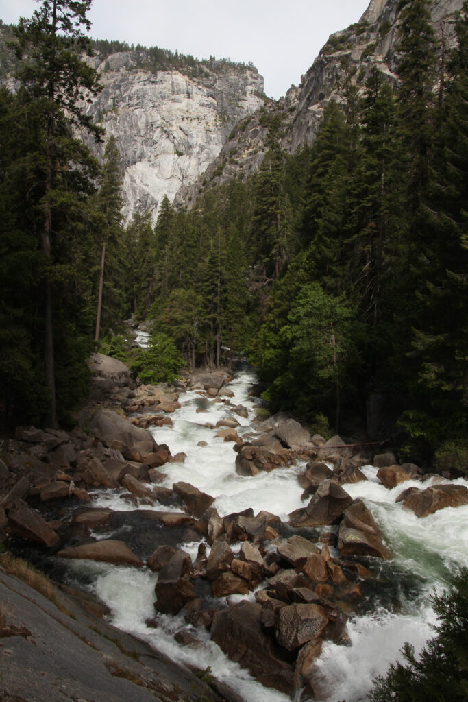 Mountain Stream