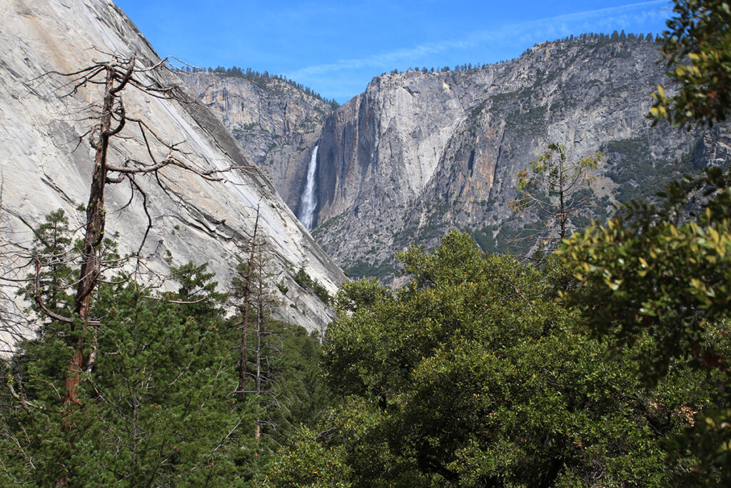 Yosemite Falls