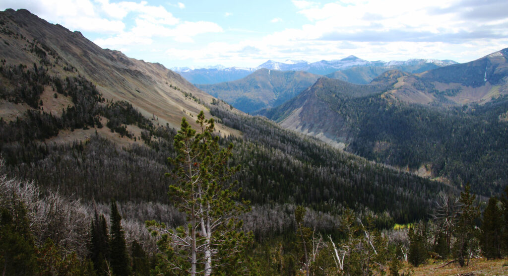 mountain top view of surrounding mountain range