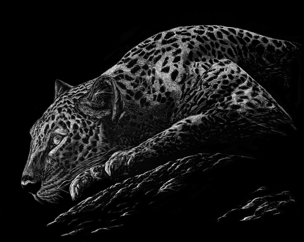 Illustration of a Jaguar