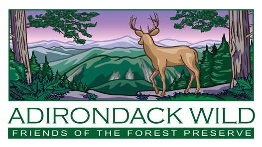 Adirondack Wild logo