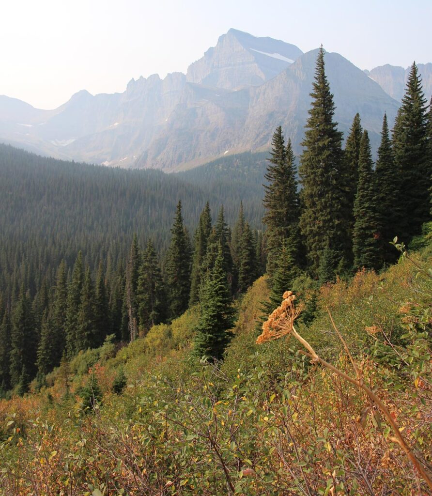 hillside with distant maountains behind it