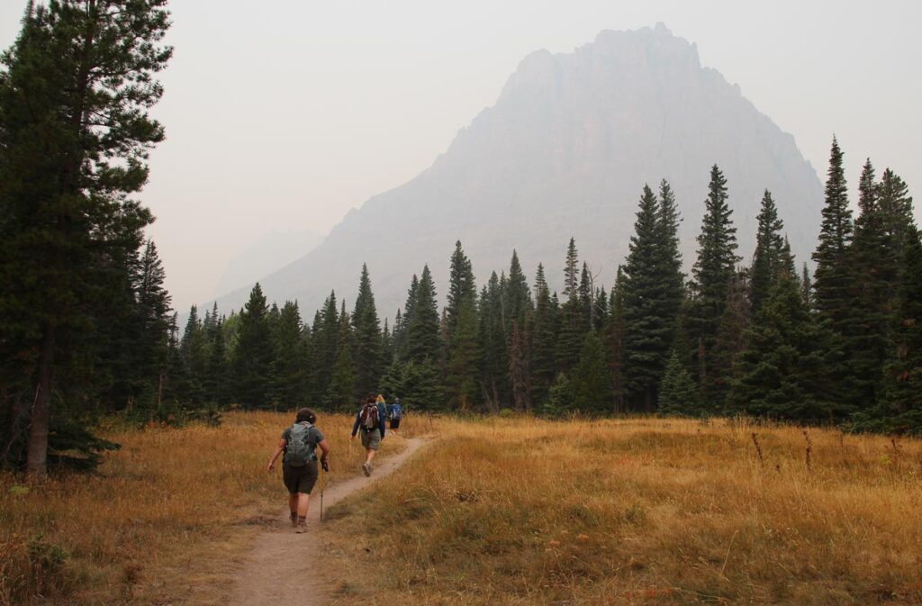 hikers in a meadow