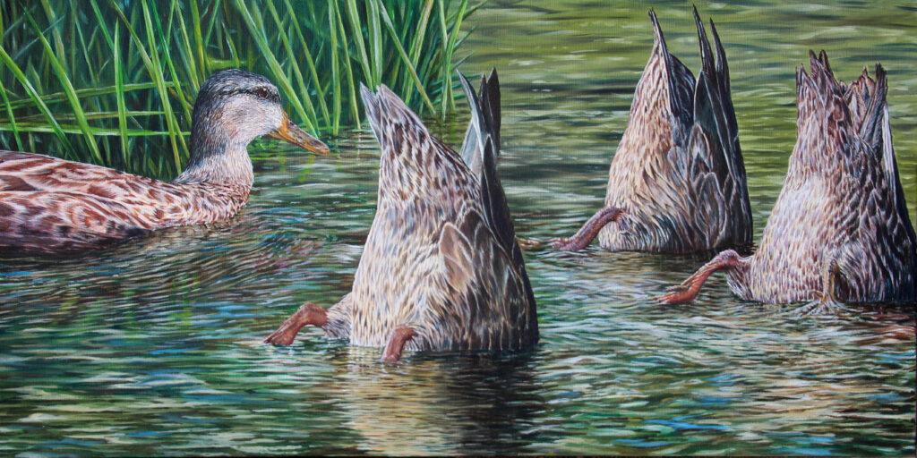 painting of four ducks in water