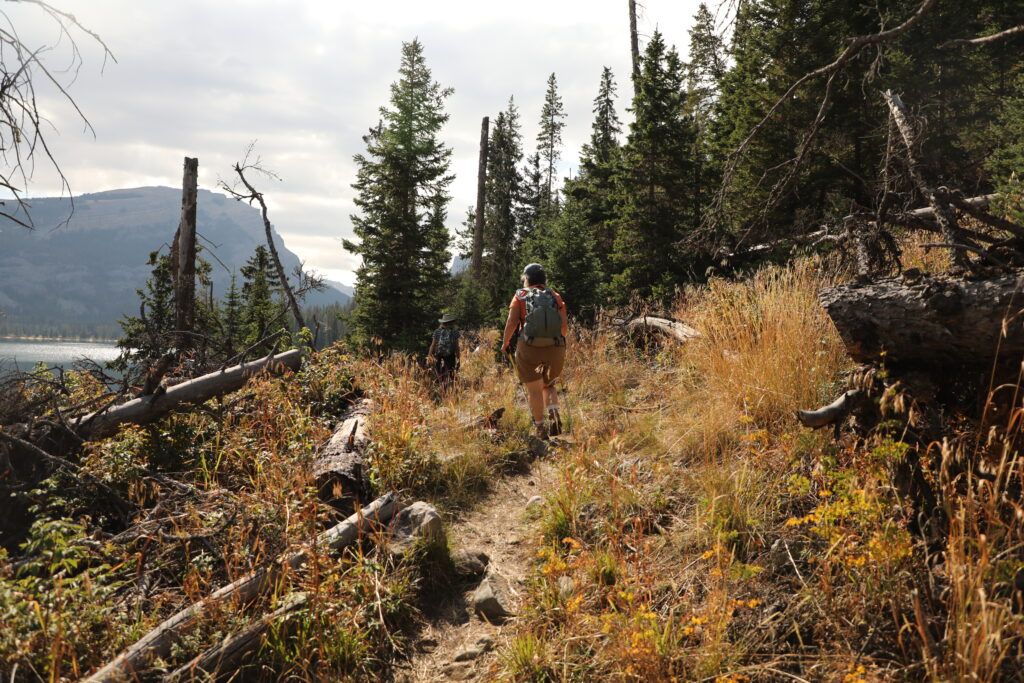 hiking trail into the woods