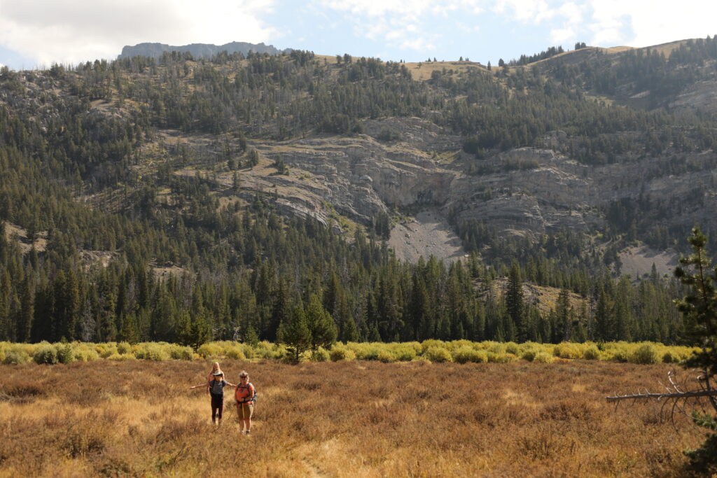 meadow hikers