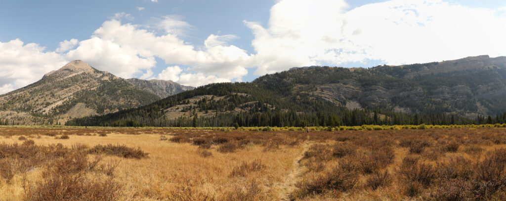 grassy meadow with distant mountains