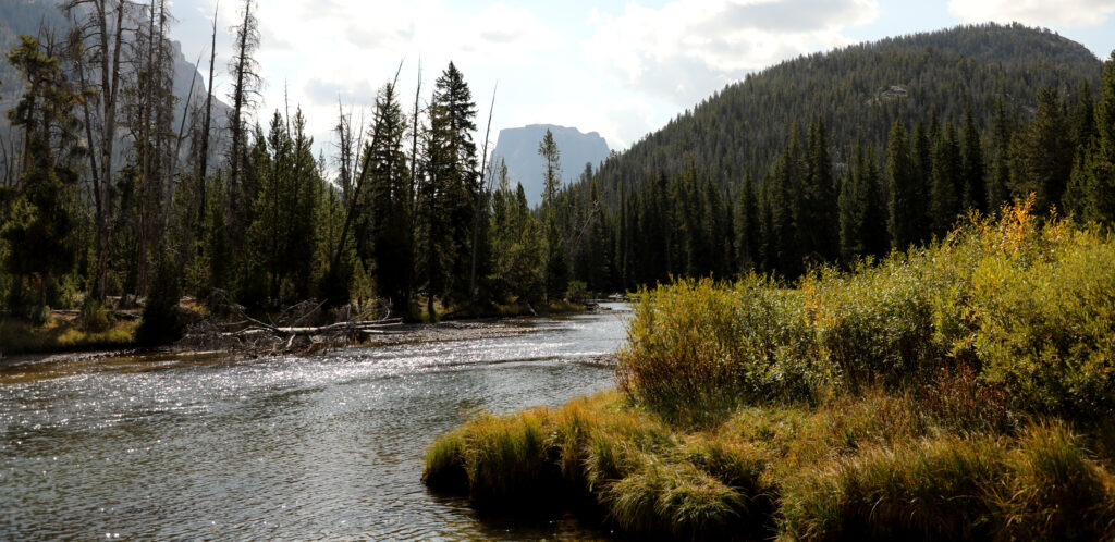 stream running through moutains