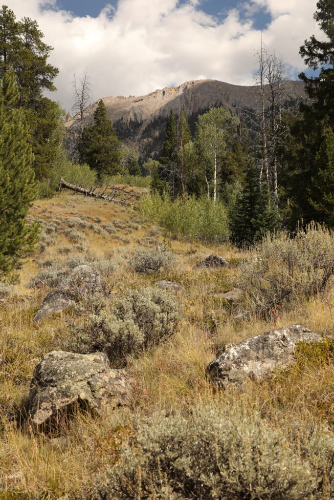 looking up at mountain