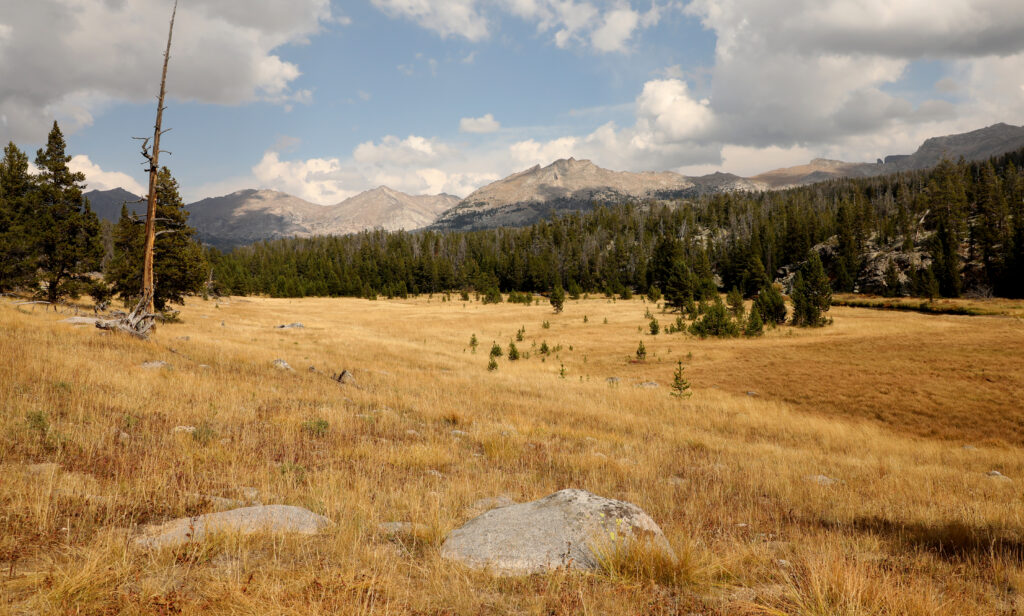 meadow with distant mountains