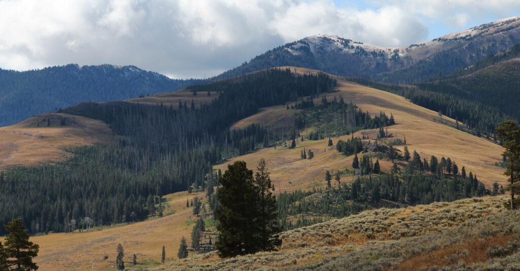 jagged mountains