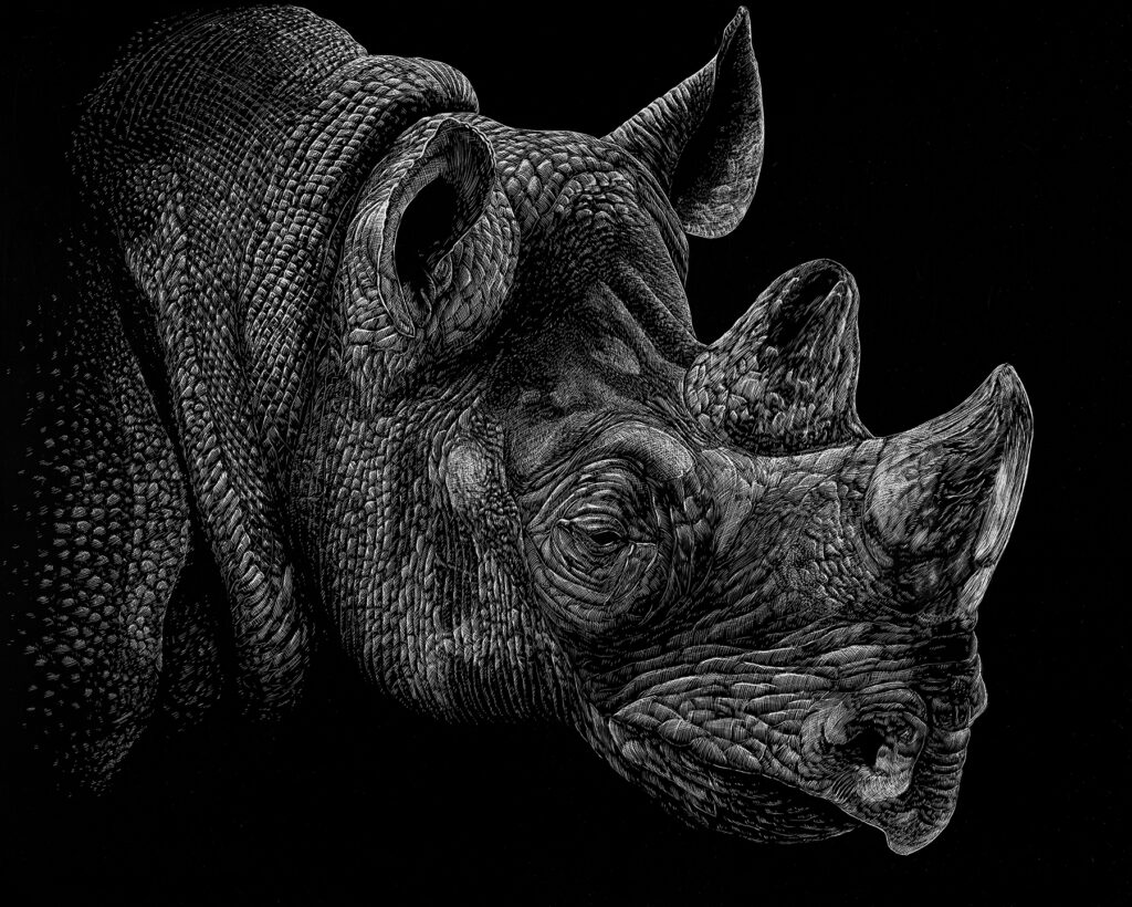 Illustration of a Rhinocerus