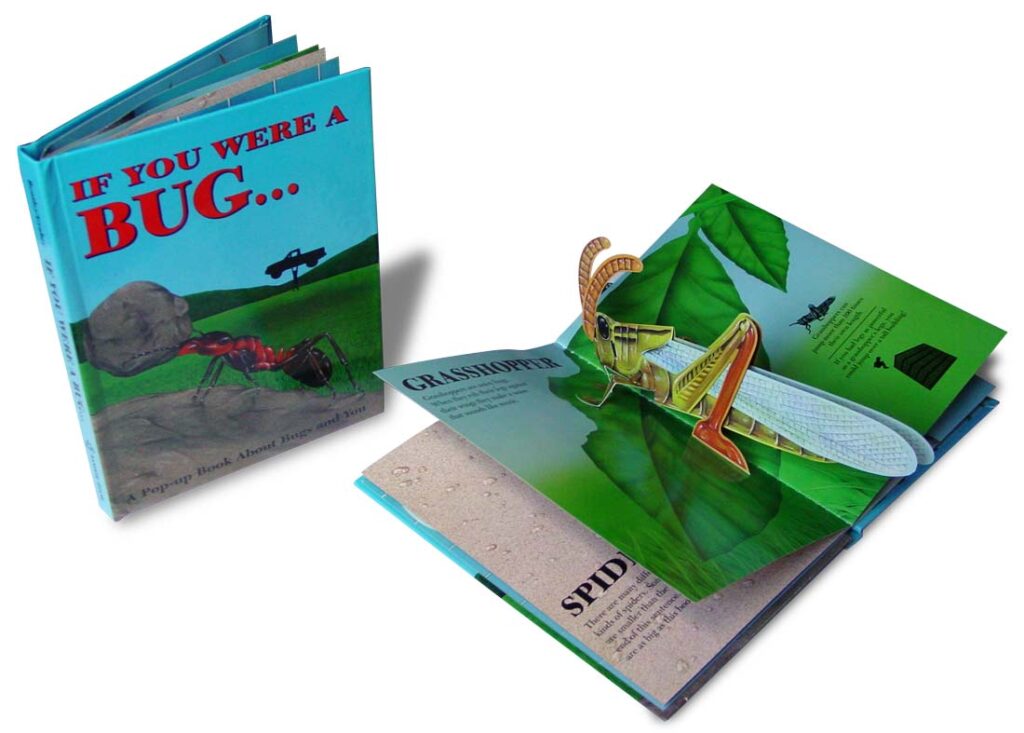 pop-up book