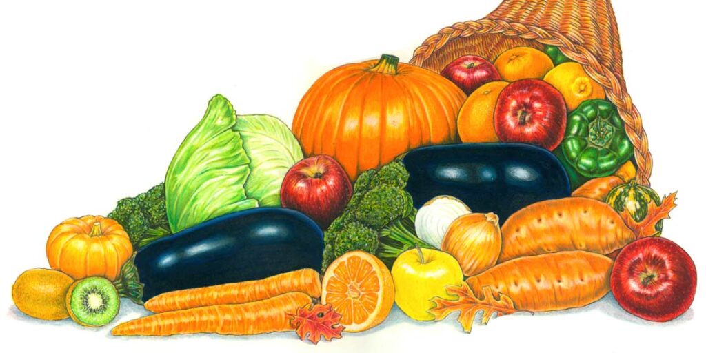 illustration of fruits and vegetables