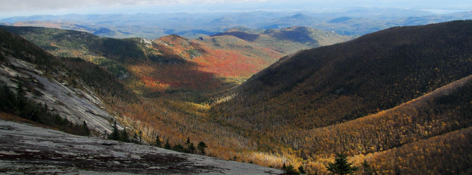 autumn foliage in the mountains