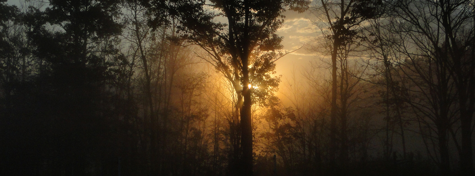 sunrise through the mist