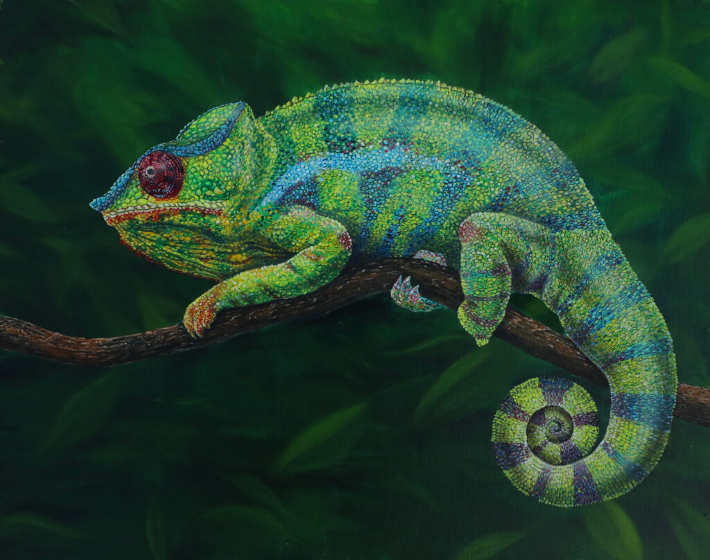 Painting of a chameleon on a branch